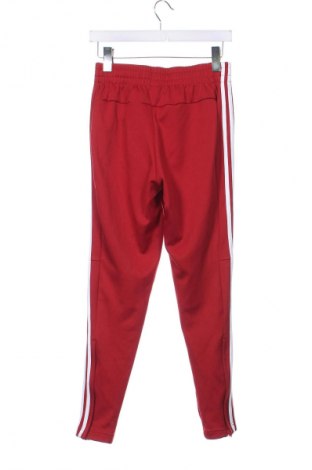 Damen Sporthose Adidas, Größe XS, Farbe Rot, Preis 27,99 €