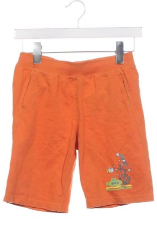 Kinder Shorts Impidimpi, Größe 8-9y/ 134-140 cm, Farbe Orange, Preis € 6,99