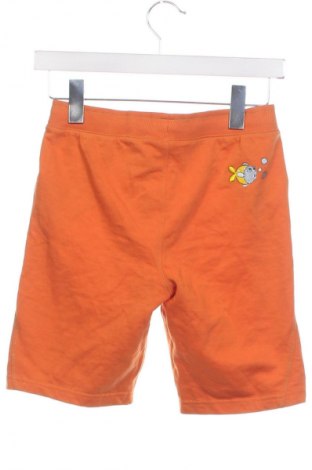 Kinder Shorts Impidimpi, Größe 8-9y/ 134-140 cm, Farbe Orange, Preis € 6,99