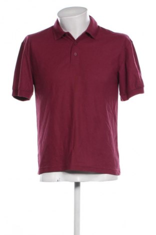 Herren T-Shirt Fruit Of The Loom, Größe S, Farbe Lila, Preis € 6,99