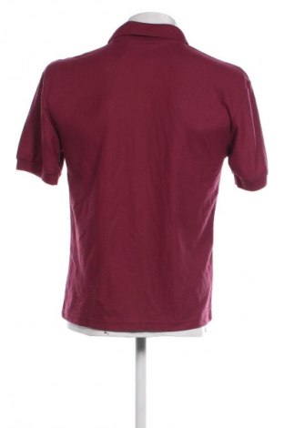 Herren T-Shirt Fruit Of The Loom, Größe S, Farbe Lila, Preis € 6,99