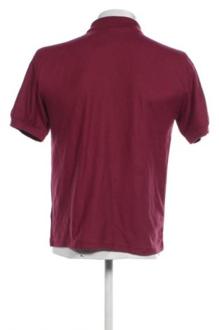 Herren T-Shirt Fruit Of The Loom, Größe S, Farbe Lila, Preis € 6,99