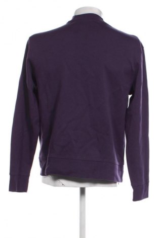 Herren Shirt Zara, Größe L, Farbe Lila, Preis 6,99 €