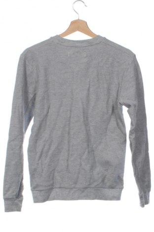 Herren Shirt Zara, Größe XS, Farbe Grau, Preis 6,99 €