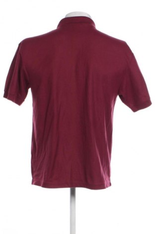 Herren T-Shirt Fruit Of The Loom, Größe M, Farbe Lila, Preis € 13,99