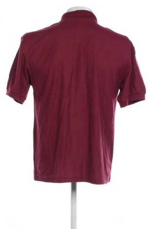 Herren T-Shirt Fruit Of The Loom, Größe M, Farbe Lila, Preis € 9,99