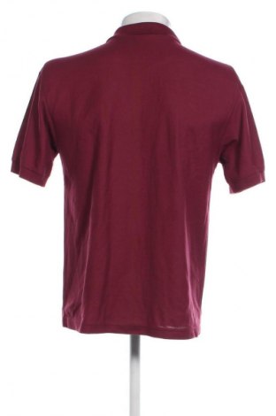 Herren T-Shirt Fruit Of The Loom, Größe M, Farbe Lila, Preis € 13,99