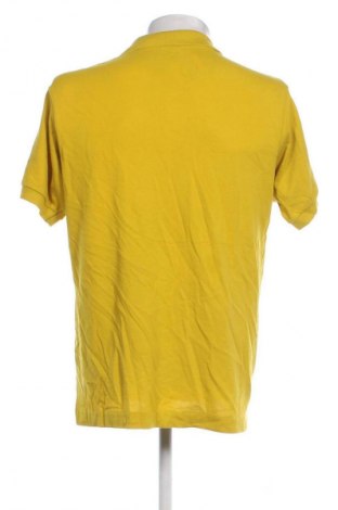 Herren T-Shirt Lacoste, Größe L, Farbe Gelb, Preis 37,99 €