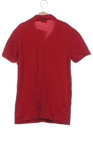 Herren T-Shirt U.S. Polo Assn., Größe XS, Farbe Rot, Preis € 16,99