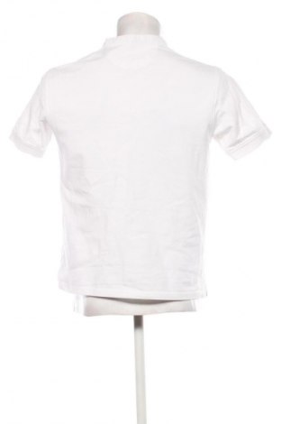 Herren T-Shirt Zara, Größe S, Farbe Weiß, Preis € 6,99