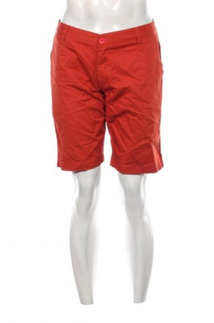 Herren Shorts, Größe L, Farbe Rot, Preis 13,99 €