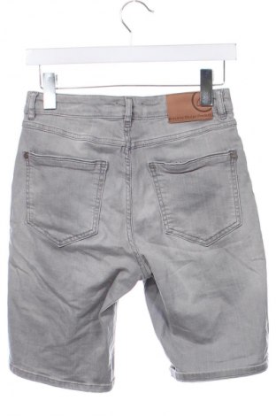 Herren Shorts Bizzbee, Größe L, Farbe Grau, Preis € 10,99