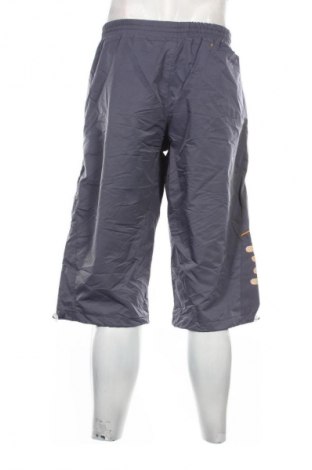 Pantaloni scurți de bărbați Nike, Mărime L, Culoare Gri, Preț 105,99 Lei