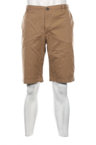 Herren Shorts Tchibo, Größe XL, Farbe Braun, Preis 14,99 €