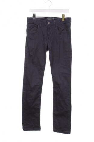 Herrenhose Angelo Litrico, Größe S, Farbe Grau, Preis 11,99 €