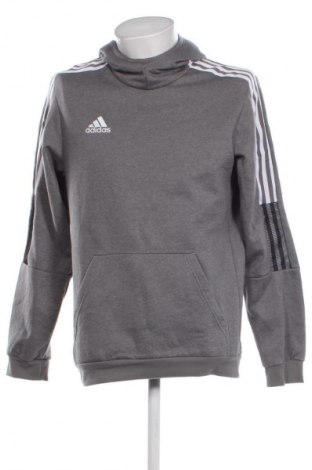 Herren Sweatshirt Adidas, Größe M, Farbe Grau, Preis € 35,99