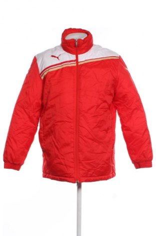 Herrenjacke PUMA, Größe M, Farbe Rot, Preis € 55,99