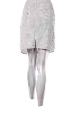 Φούστα Laurel, Μέγεθος XL, Χρώμα Πολύχρωμο, Τιμή 19,99 €