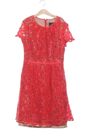 Kleid Adrianna Papell, Größe XXS, Farbe Mehrfarbig, Preis € 41,94