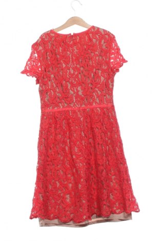 Kleid Adrianna Papell, Größe XXS, Farbe Mehrfarbig, Preis € 41,94