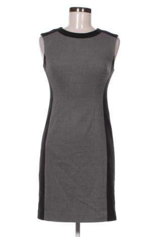 Kleid Ann Taylor, Größe S, Farbe Mehrfarbig, Preis 42,05 €