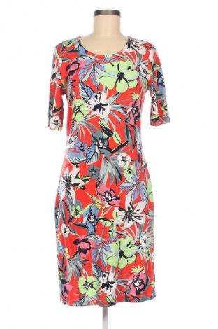 Kleid Betty Barclay, Größe M, Farbe Mehrfarbig, Preis € 43,99
