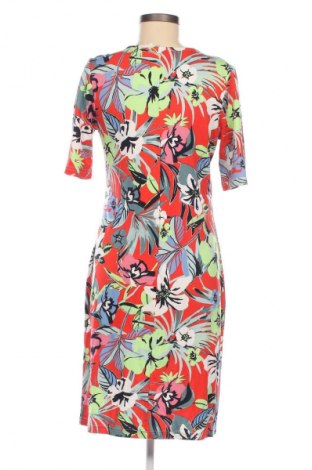 Kleid Betty Barclay, Größe M, Farbe Mehrfarbig, Preis € 43,99