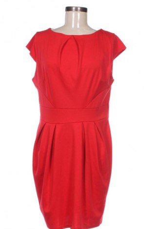 Ruha Dorothy Perkins, Méret XL, Szín Piros, Ár 5 569 Ft