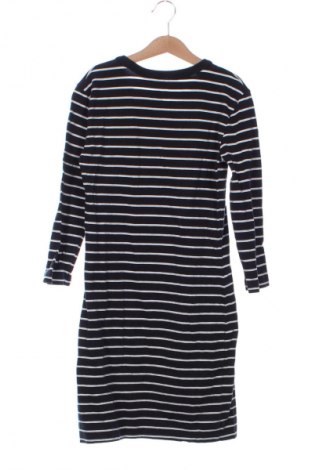 Kleid French Connection, Größe XS, Farbe Mehrfarbig, Preis € 24,99