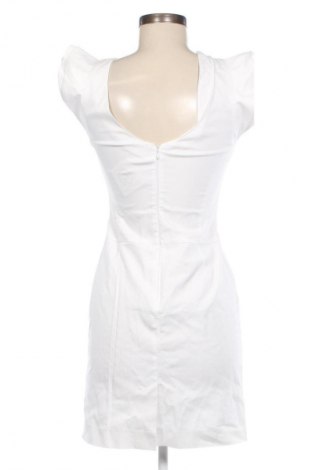 Φόρεμα Max&Co., Μέγεθος S, Χρώμα Λευκό, Τιμή 55,72 €