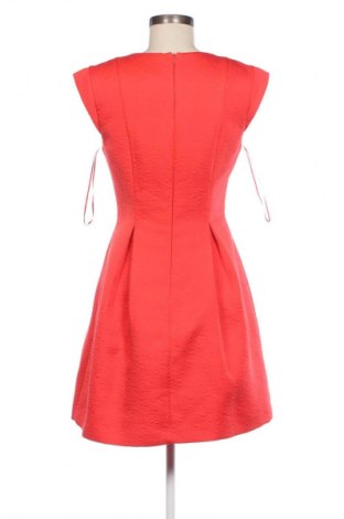 Kleid Oasis, Größe S, Farbe Rot, Preis € 25,00