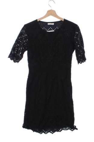 Kleid Whistles, Größe XS, Farbe Schwarz, Preis € 32,99