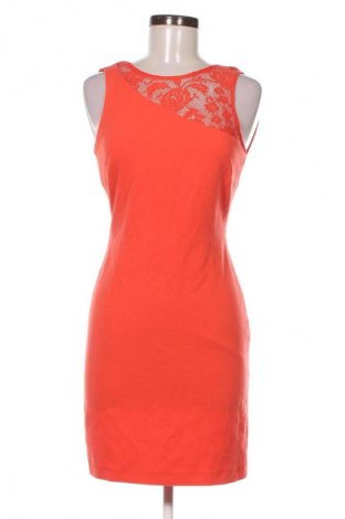 Kleid Zara Trafaluc, Größe L, Farbe Orange, Preis 18,99 €