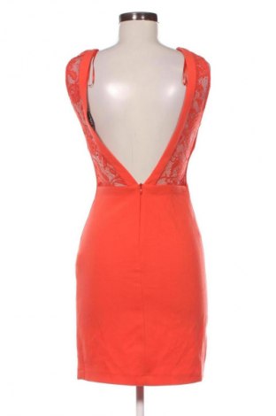 Kleid Zara Trafaluc, Größe L, Farbe Orange, Preis 18,99 €