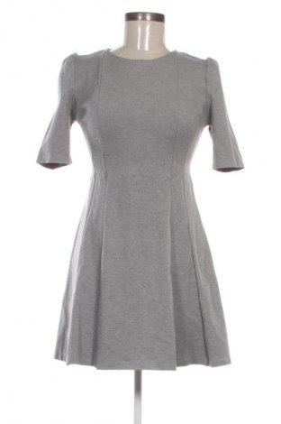 Kleid Zara Trafaluc, Größe M, Farbe Grau, Preis 24,55 €