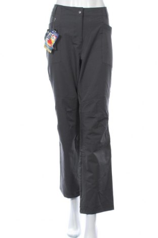 Дамски спортен панталон Crane, Размер XL, Цвят Сив, Полиестер, еластан, Цена 19,11 лв.