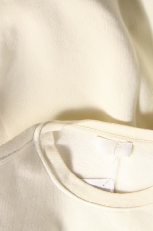 Γυναικεία μπλούζα LeGer By Lena Gercke, Μέγεθος S, Χρώμα Εκρού, 70% βαμβάκι, 30% πολυεστέρας, Τιμή 37,11 €