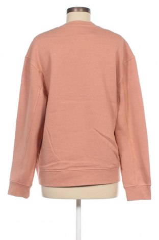 Γυναικεία μπλούζα Topshop, Μέγεθος S, Χρώμα Ρόζ , 76% βαμβάκι, 24% πολυεστέρας, Τιμή 29,69 €