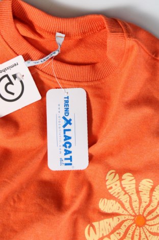 Γυναικεία μπλούζα, Μέγεθος M, Χρώμα Πορτοκαλί, Τιμή 3,20 €