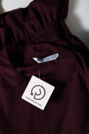 Γυναικεία μπλούζα, Μέγεθος XXL, Χρώμα Βιολετί, Τιμή 2,35 €