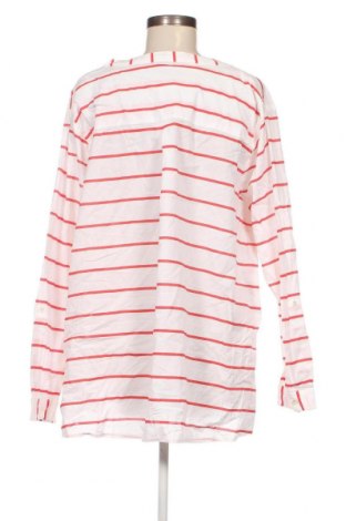 Γυναικεία μπλούζα Adia, Μέγεθος XL, Χρώμα Πολύχρωμο, Τιμή 14,85 €
