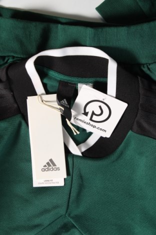 Γυναικεία μπλούζα Adidas, Μέγεθος S, Χρώμα Πράσινο, Τιμή 35,25 €
