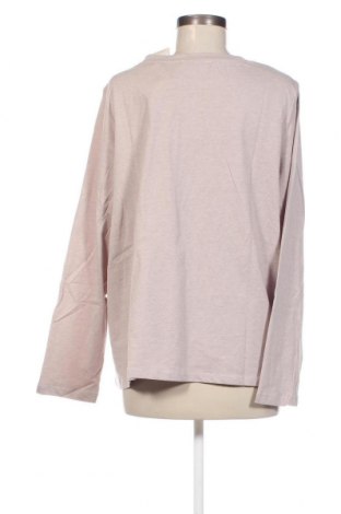 Γυναικεία μπλούζα Anna Field, Μέγεθος 3XL, Χρώμα  Μπέζ, Τιμή 6,39 €