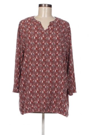 Γυναικεία μπλούζα Bexleys, Μέγεθος XXL, Χρώμα Πολύχρωμο, Τιμή 12,18 €