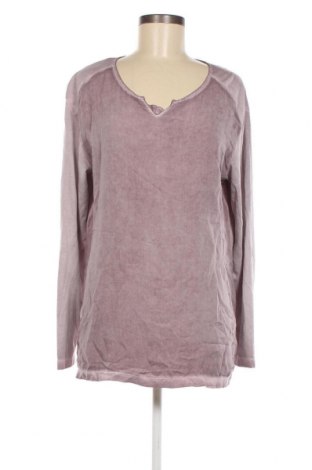 Damen Shirt Brax, Größe L, Farbe Lila, Preis 17,51 €