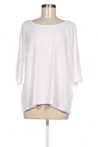 Γυναικεία μπλούζα Chicoree, Μέγεθος XL, Χρώμα Λευκό, Τιμή 6,70 €