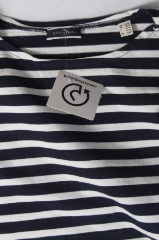 Γυναικεία μπλούζα Essentials by Tchibo, Μέγεθος M, Χρώμα Πολύχρωμο, Τιμή 3,56 €