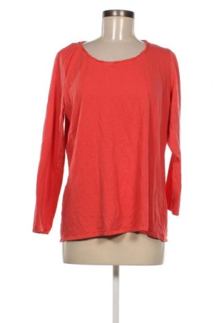 Γυναικεία μπλούζα Gina Benotti, Μέγεθος XXL, Χρώμα Ρόζ , Τιμή 9,72 €