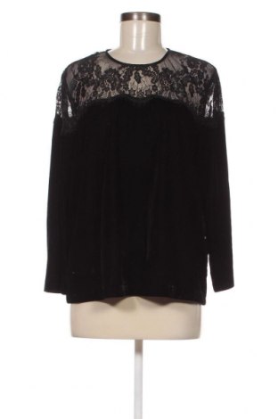 Damen Shirt Hallhuber, Größe XL, Farbe Schwarz, Preis € 22,95