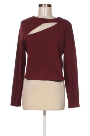 Γυναικεία μπλούζα Hollister, Μέγεθος XL, Χρώμα Κόκκινο, Τιμή 8,76 €